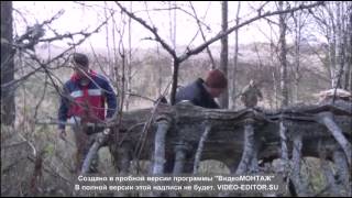 (1) Глухариная тропа  3- 5 октября 2014 года