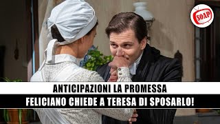 La Promessa, Anticipazioni: Feliciano chiede a Teresa di sposarlo!