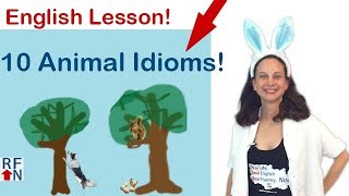 10 English Idioms about animals - Learn English Vocabulary