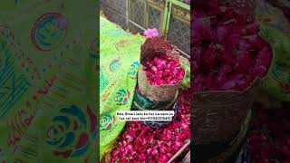 Mira datar dargah Urs stetus|whatsapp qawwali status|2024new qawwali|Famous qawwali|mira data