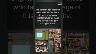 Fully Funded Egyptian Undergraduate Scholarships in 2024