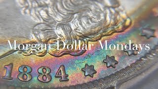 1884 NEW ORLEANS - GRADE COMPARISON - “MORGAN DOLLAR MONDAYS” WITH MASSABESIC GOLD and SILVER