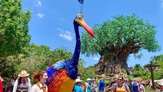 Disney's Animal Kingdom | Kevin from UP! Tiger Roars at Jungle Trek and More!