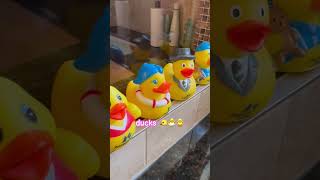 Cute little ducks collection, #viralvideo  #ducks