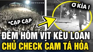 Đêm hôm NGHE TIẾNG VỊT KÊU, gia chủ check cam thấy cảnh tượng KHÔNG NÓI NÊN LỜI | Tin 3 Phút