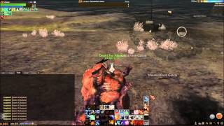 Archeage - Auroria AoE farming