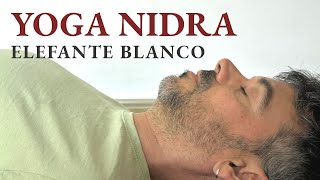 YOGA NIDRA | Elefante blanco [en vivo] - Liberación emocional