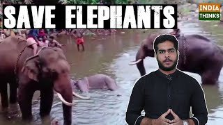 Elephant fed pineapple laden with explosives | Palakkad | IndiaThinks | Nishan Chilkuri reports