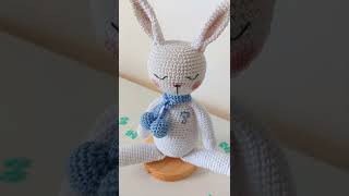 little Bunny | Amigurumi