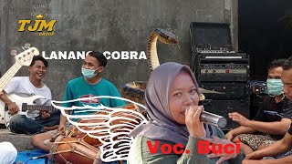 Lanang Cobra | Voc. Buci - Edisi Latihan | TJM Group