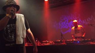 MC Rene - Mein Leben ist ein Freestyle (live @ Grossstattraum, Hamburg 2016)