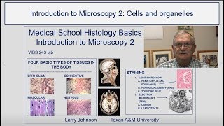 Cells and Organelles