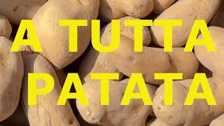 PATATE sui terrazzamenti, dopo 60 anni!