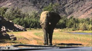 Self Drive Safaris - Favourite Elephant Videos of 2015