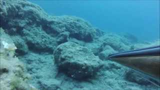 Shallow SpearFishing 0-5m             Η μάγια της Θάλασσας