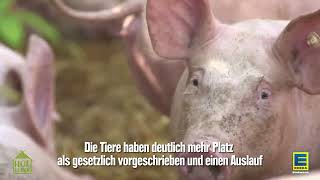 Hofglück Schwein