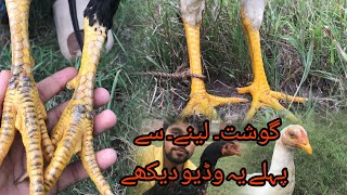 Murge ka meat lane sa phle ya video zaror dekhe