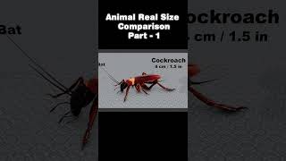 Animal Real Size Comparison | 3d Animation Comparison  #DataWorld  #Shorts #Animal #Part-1