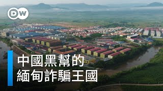 緬甸KK園區：中國黑幫的詐騙工廠｜DW 獨家視角