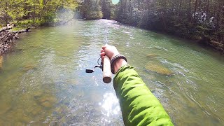 Wild Brown Trout Fishing Northern PA on COLD Spring Day