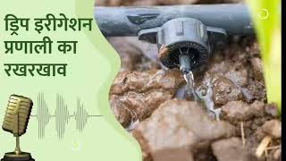 ड्रिप इरिगेशन सिस्टम में गलतियों से बचें Drip irrigation