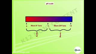 Understanding the Difference Between Acid and Base | Class 10 Science