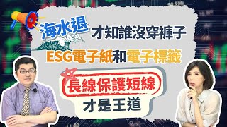 買貴總比買錯好 電子紙和電子 標籤抓對趨勢長線保護短線【芳方面面理財】feat.黃豐凱EP120