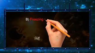 NINU-L1 Factors Affecting Solubility