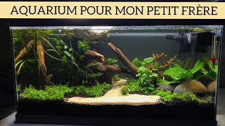 Un Aquarium de fou pour mon petit frère ?