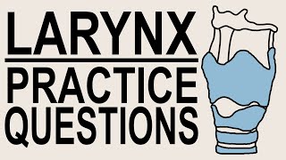 Larynx Lecture Series : Practice Questions