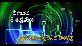 චුම්බකයක චුම්බක ක්ෂේත්‍ර - 8 ශ්‍රේණිය (විද්‍යාව)