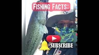 BASS Fishing Facts#10 #Shorts #fishing #bass