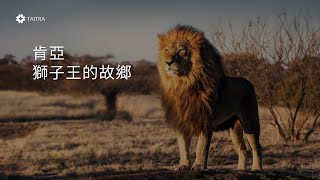 肯亞─獅子王的故鄉