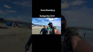 Doran beach 🏝️🔥| bodega bay California 🇺🇸| #beach #california #viral #shorts