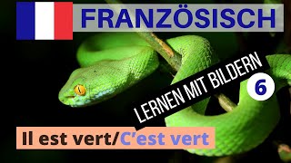 Französisch lernen A1 für Anfänger 6 | 🇫🇷 Wichtige Französische Sätze 🇫🇷Einfach & Schnell Lernen!