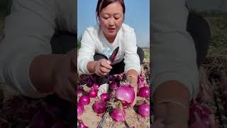 Watch me a satisfaying videos of agriculture growing fruit, vegetable, carrot, corn, onion etc 87