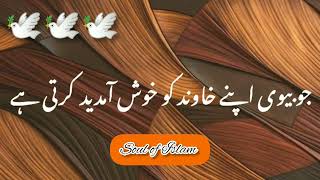 Tariq Jameel status |Miya Biwi Ka Taluq 💕 |Miya Biwi k haqooq |Husband and wife relationship