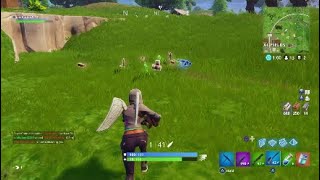 Fortnite: Random Moments