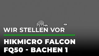 Wir stellen vor: Hikmicro Wärmebildkamera Falcon FQ50 - Bachen 1 | GRUBE.DE