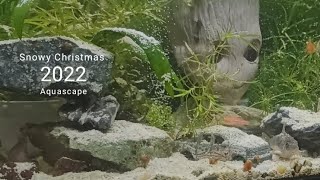 Snowy Christmas DIY Planted Aquascape  2022