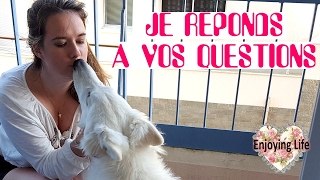 FAQ - CHEVAL? ARGENT? UN AUTRE CHIEN? ✿ Enjoying Life