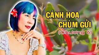 Cánh Hoa Chùm Gửi Chương 6 | Tiểu Thuyết Của Tác Giả Quỳnh Dao