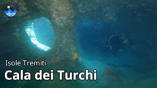 Immersione a Cala dei Turchi, Isola di Caprara - Immersioni alle Tremiti ad Agosto 2022