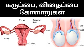 கருப்பை| ஆண்மை குறைபாடு|சினைப்பை| விதைப்பை|  uterus| fibroids| male fertility| testosterone| hormone