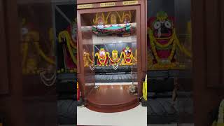 Jai Jagannath #harekrishna #krishna #bhajan #bhakti #religion #india #god #sanatan #hindu #relegious