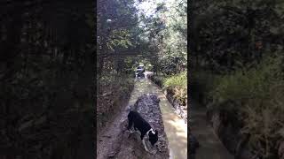 Dodge ram mudding