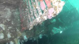 Clint Walker Nitrox Dives 10 30  2012