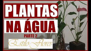 PLANTAS PARA CULTIVAR NA ÁGUA #2 #plantas #flores #plantasemcasa