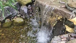 Backyard water fall