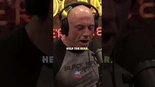 Goggins Fighting A Bear | Joe Rogan #shorts